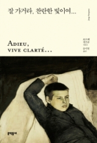 잘 가거라 찬란한 빛이여